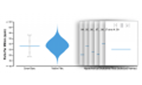 Hypothetical Outcome Plots Outperform Error Bars and Violin Plots for Inferences about Reliability of Variable Ordering thumbnail